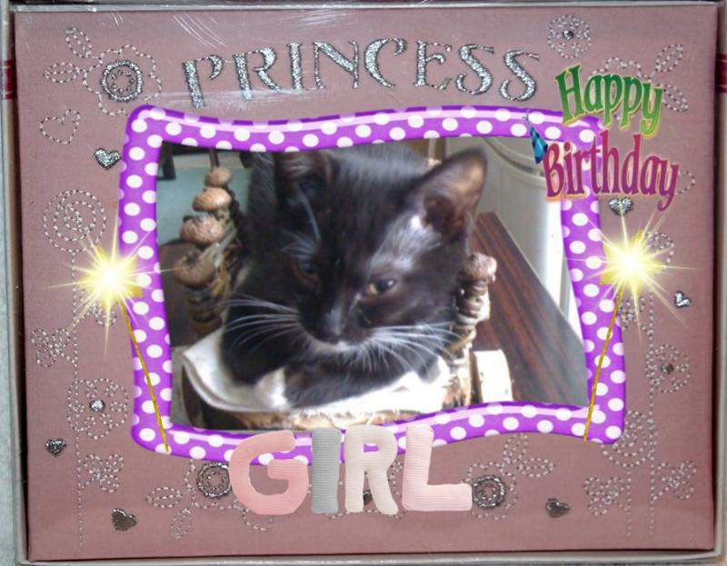 Princess Crumb of the zoza1958 family