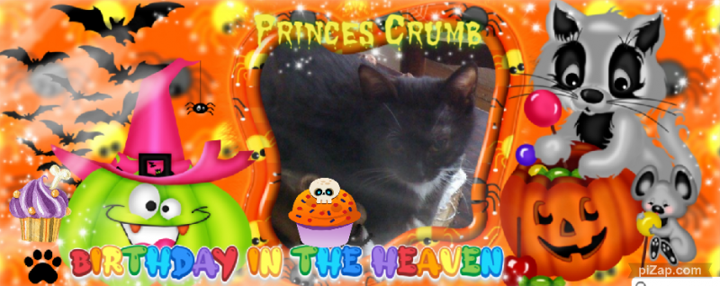 Princess Crumb of the zoza1958 family