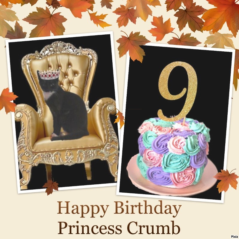 Princess Crumb of the zoza1958 family