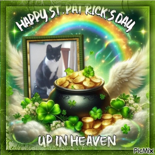 Princess Taca of the zoza1958 family