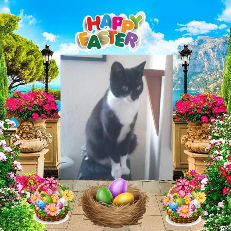 zoza1958 uploaded   6  day/s  ago