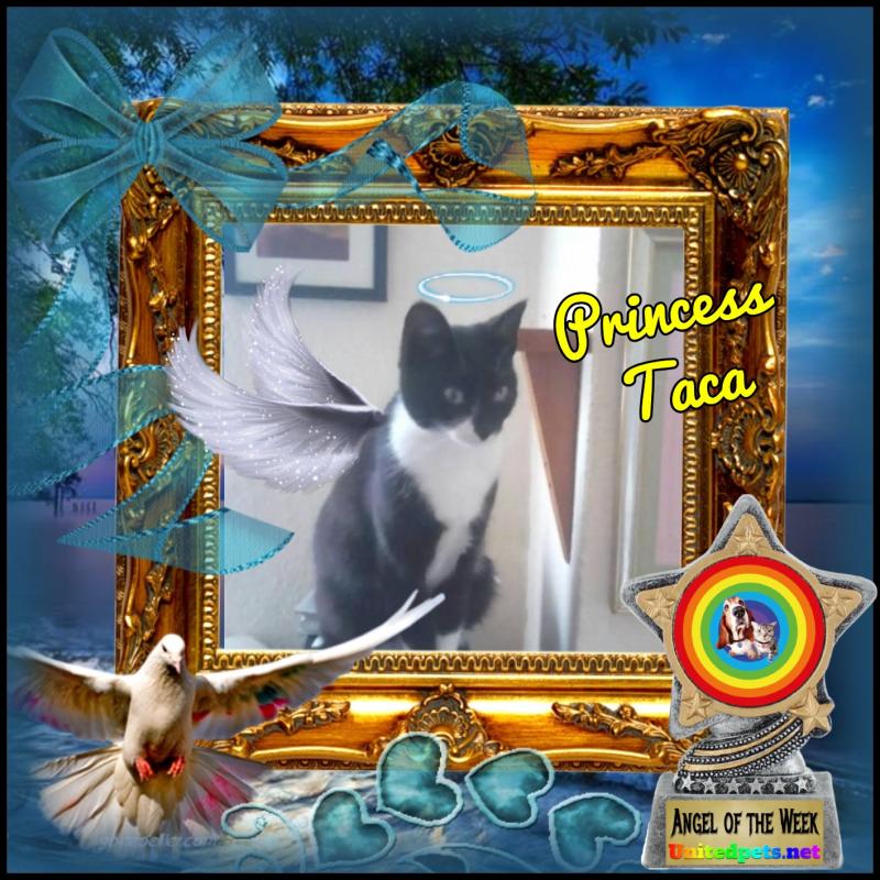 Princess Taca of the zoza1958 family