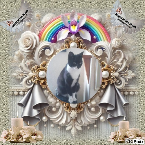 Princess Taca of the zoza1958 family