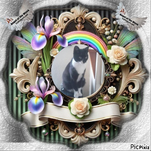 Princess Taca of the zoza1958 family