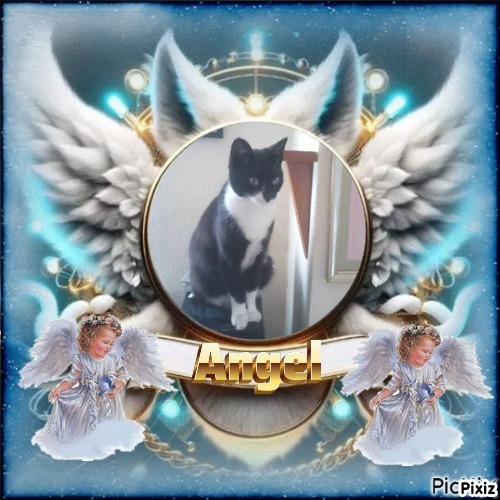 Princess Taca of the zoza1958 family