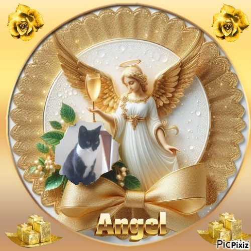 Princess Taca of the zoza1958 family