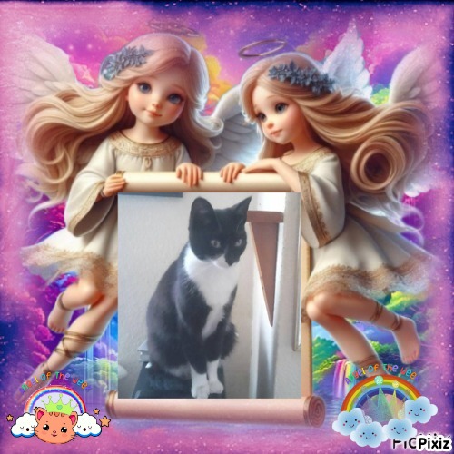 Princess Taca of the zoza1958 family