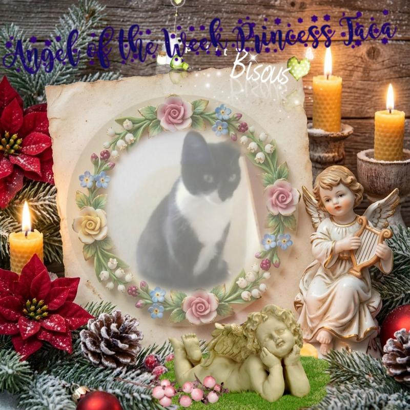 Princess Taca of the zoza1958 family