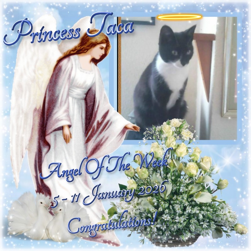 Princess Taca of the zoza1958 family