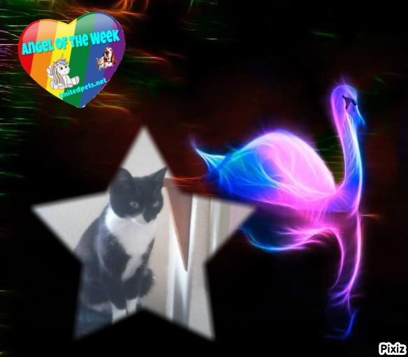 Princess Taca of the zoza1958 family