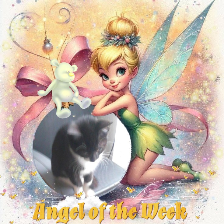 Princess Taca of the zoza1958 family