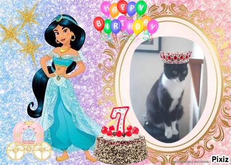 Princess Taca of the zoza1958 family