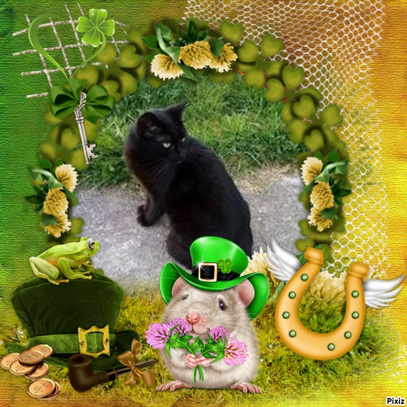 Queen  Serena of the zoza1958 family