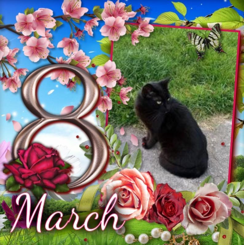 Queen  Serena of the zoza1958 family