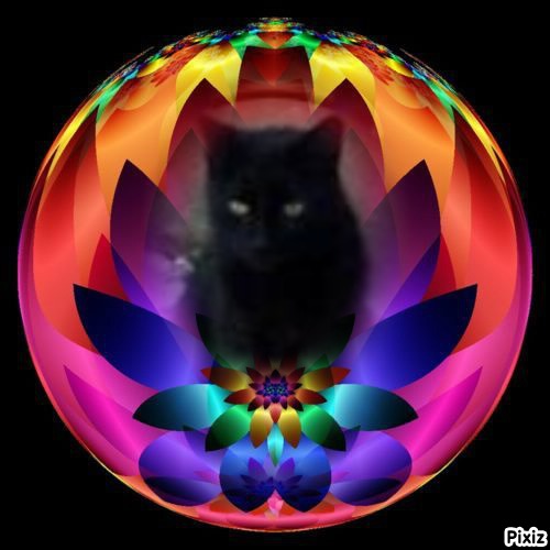 Queen  Serena of the zoza1958 family