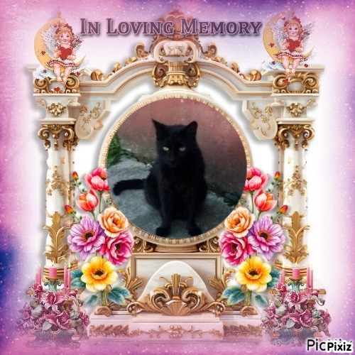 Queen  Serena of the zoza1958 family