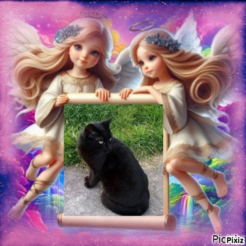 Queen  Serena of the zoza1958 family