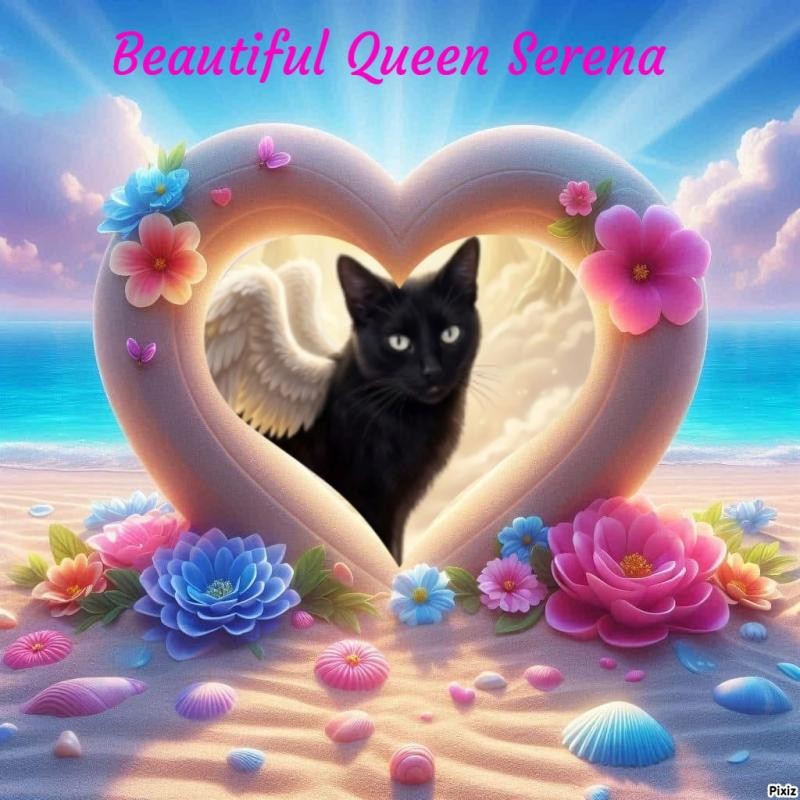 Queen  Serena of the zoza1958 family
