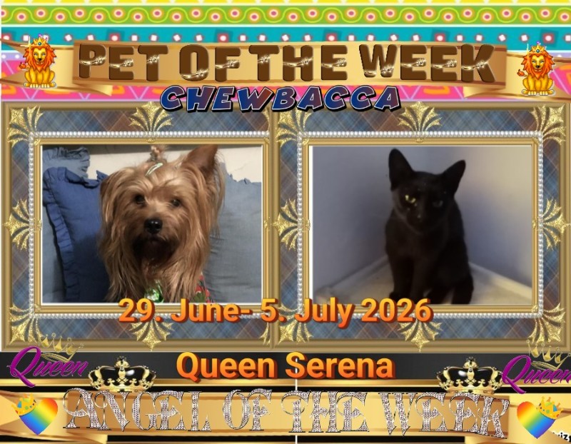 Queen  Serena of the zoza1958 family