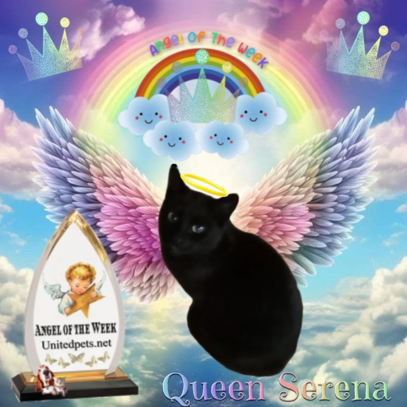 Queen  Serena of the zoza1958 family