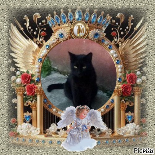 Queen  Serena of the zoza1958 family