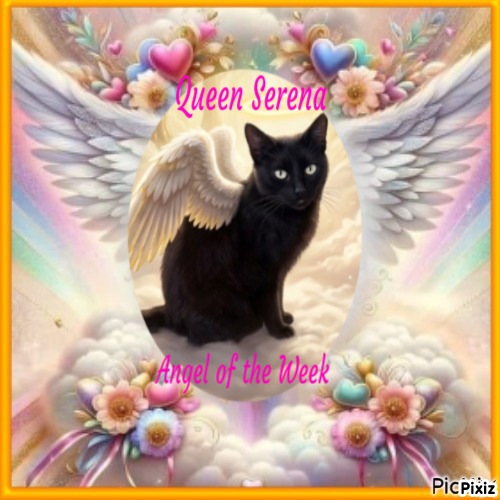 Queen  Serena of the zoza1958 family
