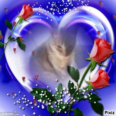 Prince Nole of the zoza1958 family