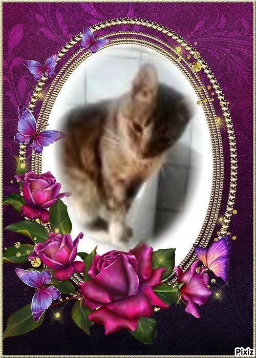 zoza1958 uploaded   17  day/s  ago