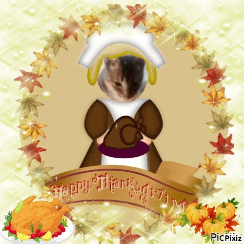 Prince Nole of the zoza1958 family