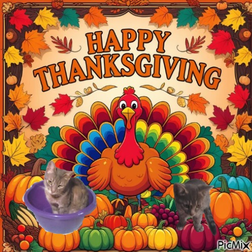 Prince Nole of the zoza1958 family