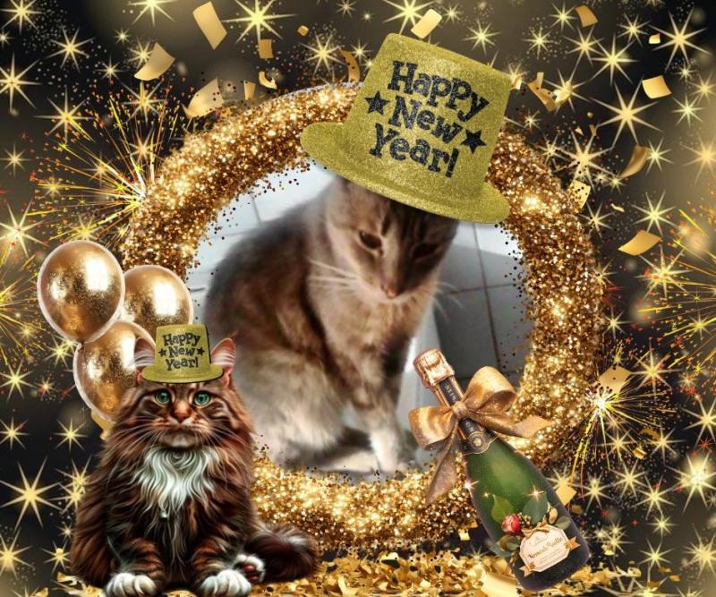 Prince Nole of the zoza1958 family