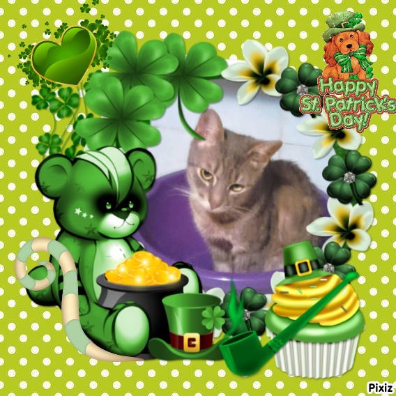 zoza1958 uploaded   31  day/s  ago