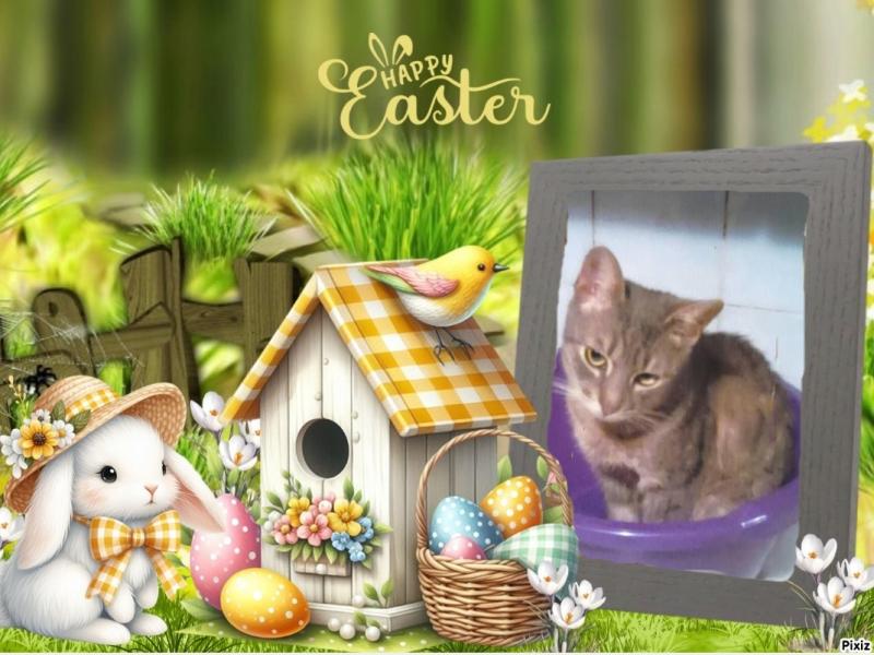 zoza1958 uploaded   6  day/s  ago