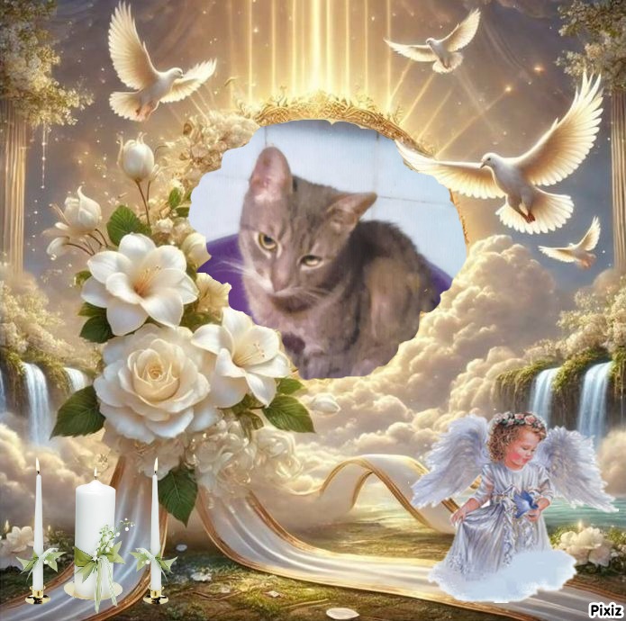 zoza1958 uploaded   3  day/s  ago