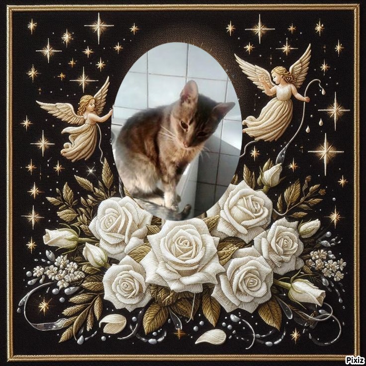 zoza1958 uploaded   3  day/s  ago