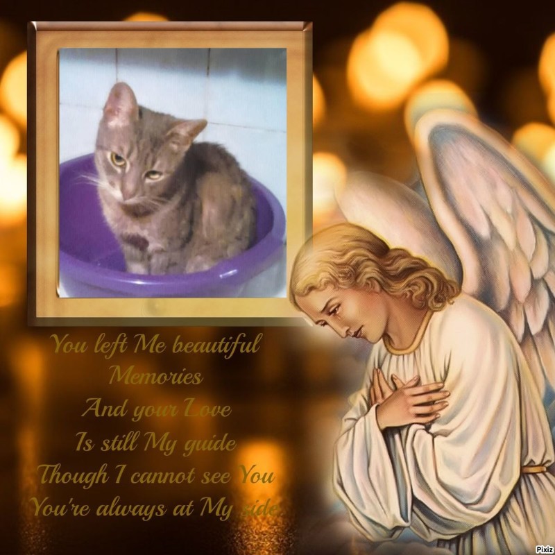 zoza1958 uploaded   3  day/s  ago