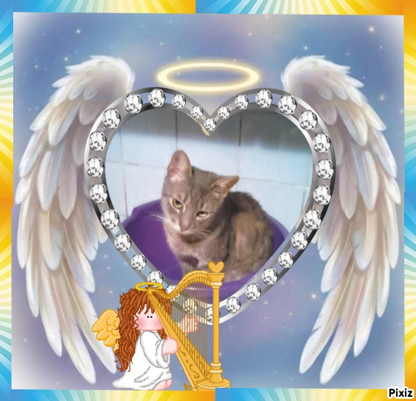 zoza1958 uploaded   3  day/s  ago