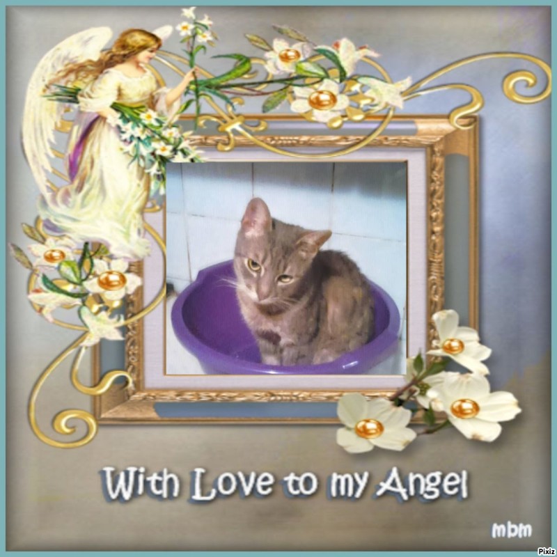 zoza1958 uploaded   3  day/s  ago