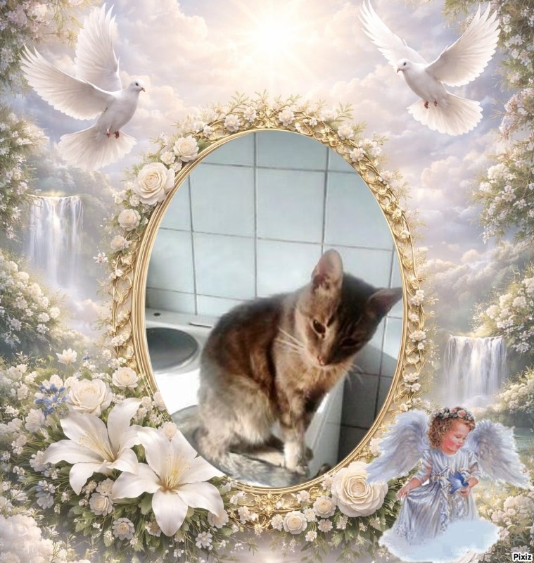 zoza1958 uploaded   3  day/s  ago