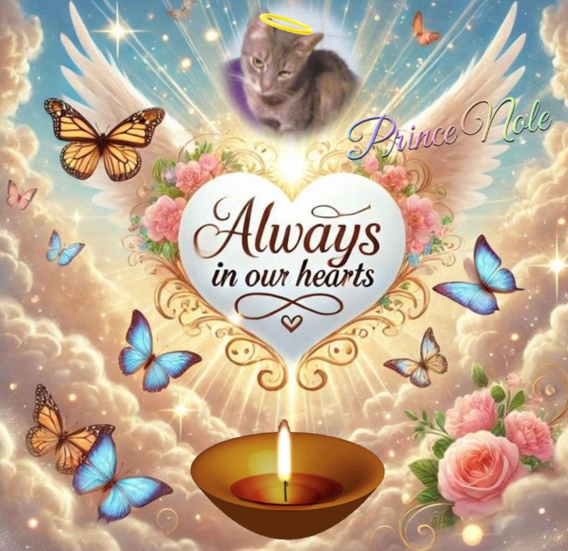 zoza1958 uploaded   5 hour/s ago