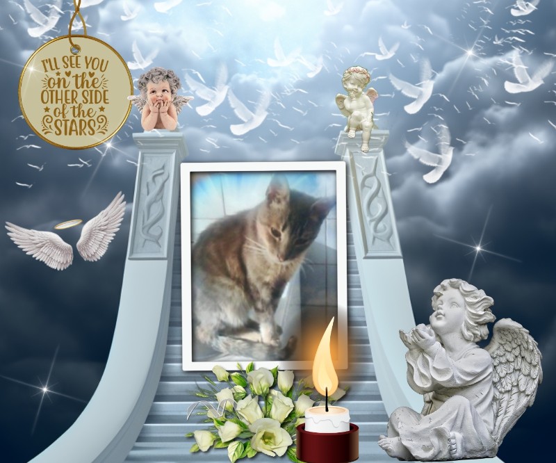 zoza1958 uploaded   5 hour/s ago