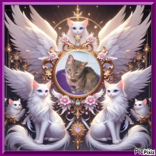 zoza1958 uploaded   3  day/s  ago