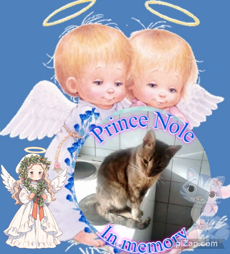 zoza1958 uploaded   5 hour/s ago