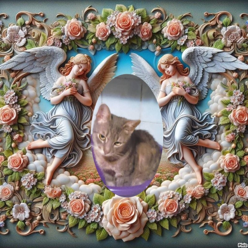 zoza1958 uploaded   3  day/s  ago