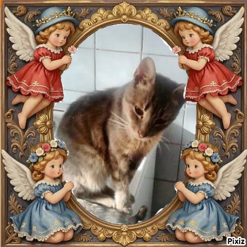 zoza1958 uploaded   3  day/s  ago