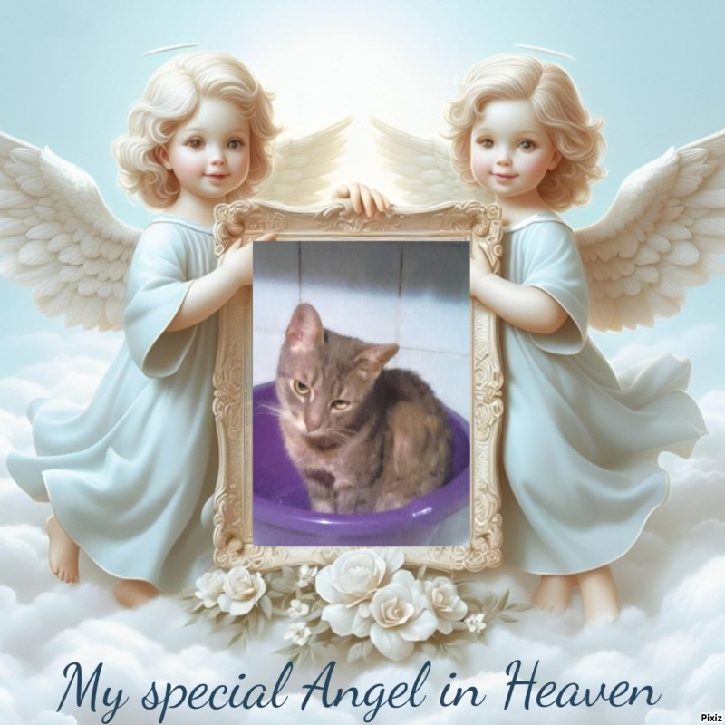 zoza1958 uploaded   3  day/s  ago