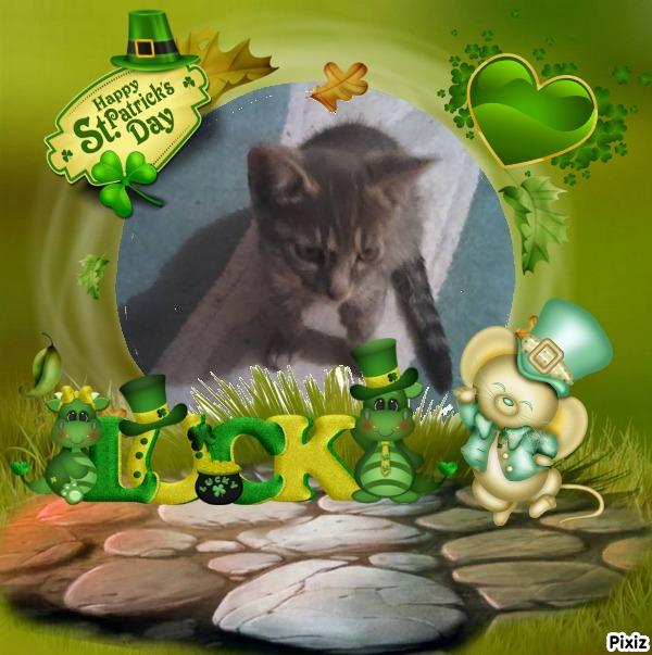 Prince Rafa of the zoza1958 family