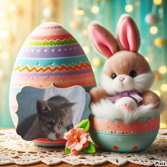 zoza1958 uploaded   6  day/s  ago