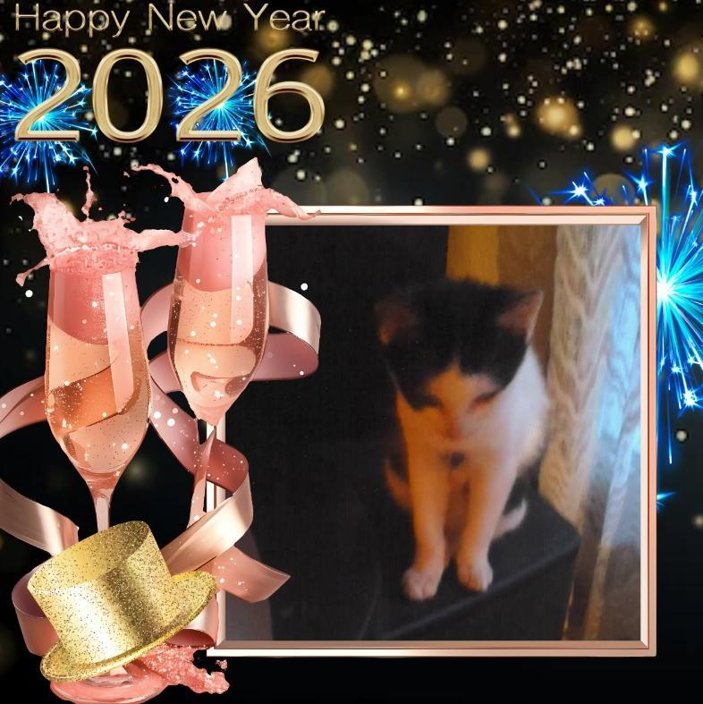 Prince Miko of the zoza1958 family