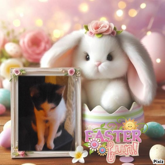 zoza1958 uploaded   6  day/s  ago